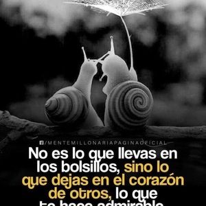 Meet your Posher, Floresita